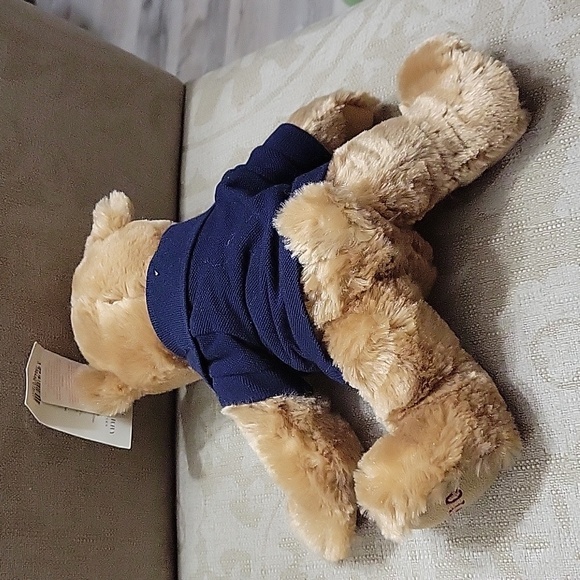 Burberry Teddy Bear  RARE Nwt Stuffed - Picture 8 of 8